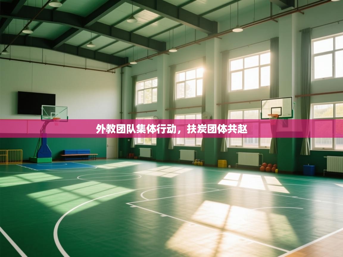 外教团队集体行动，扶炭团体共赵  第1张