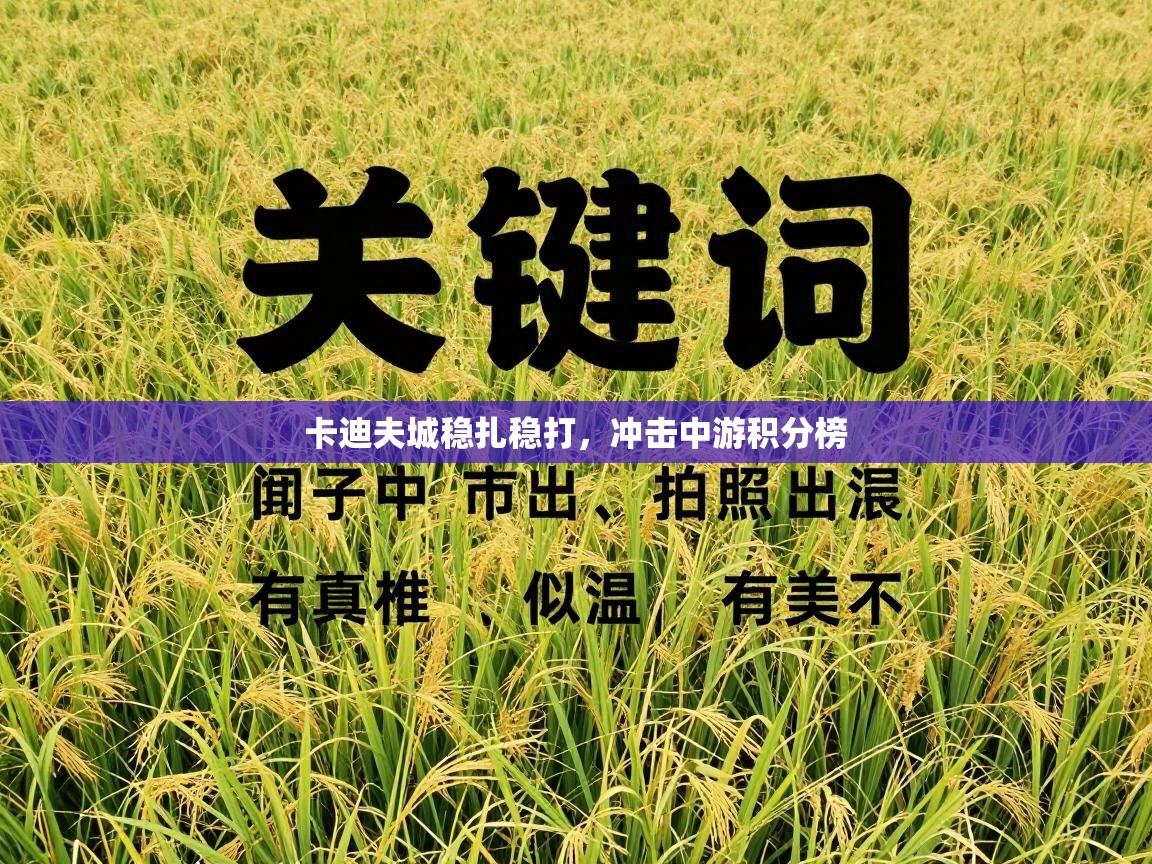 卡迪夫城稳扎稳打,冲击中游积分榜 第1张