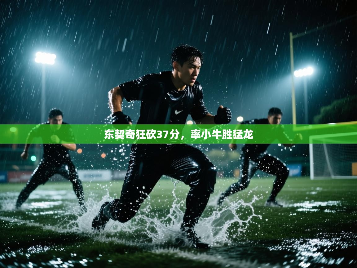 东契奇狂砍37分，率小牛胜猛龙  第1张