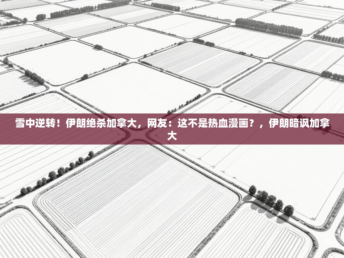 雪中逆转!伊朗绝杀加拿大,网友:这不是热血漫画?,伊朗暗讽加拿大 第1张