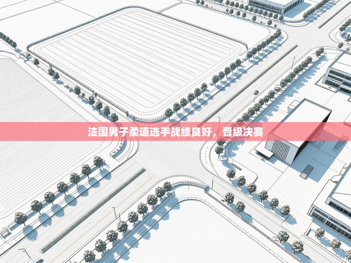 法国男子柔道选手战绩良好,晋级决赛 第1张