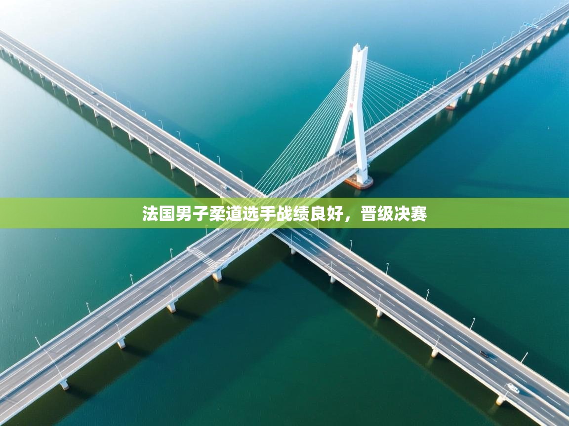 法国男子柔道选手战绩良好,晋级决赛 第2张