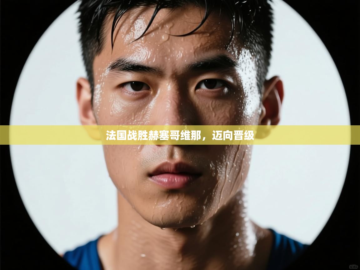 法国战胜赫塞哥维那,迈向晋级 第1张