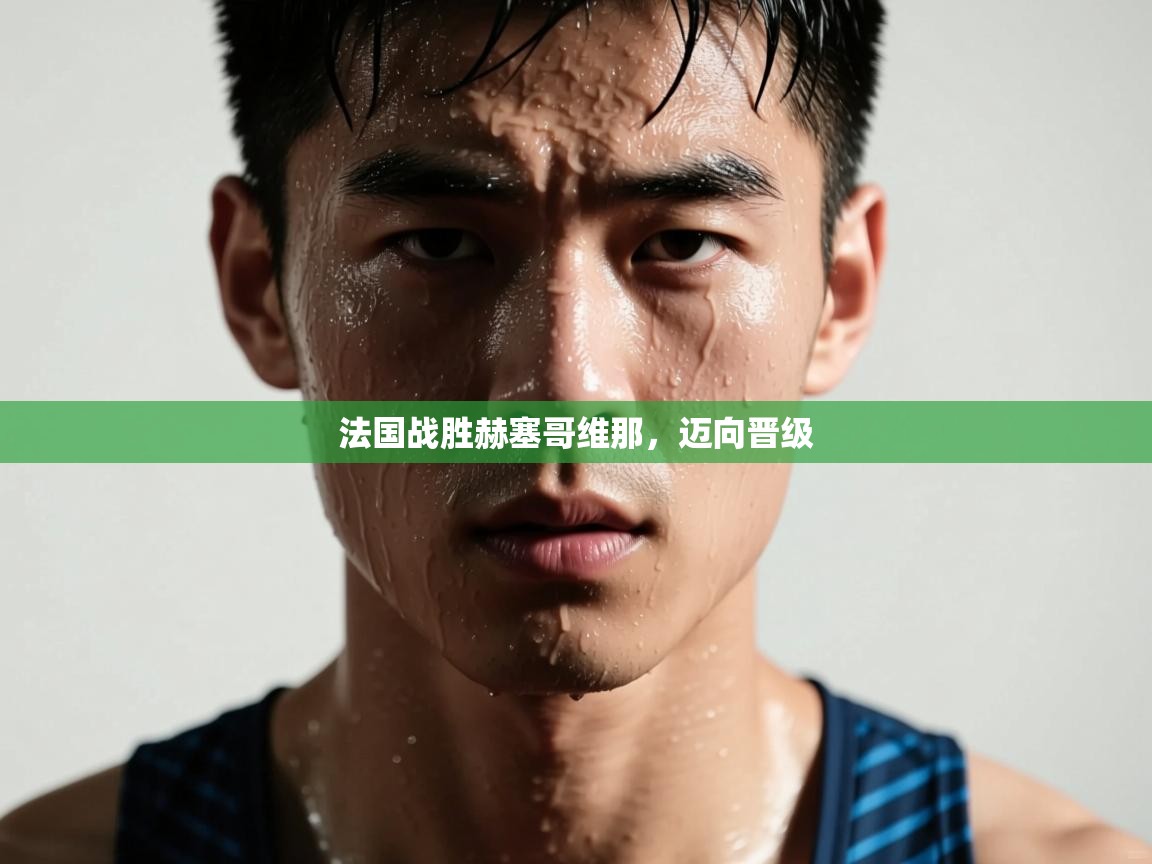 法国战胜赫塞哥维那,迈向晋级 第2张